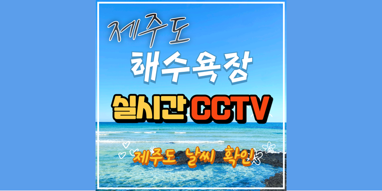 제주도 해수욕장 실시간 CCTV, 제주도 실시간 날씨 확인 『제주해수욕장CCTV』