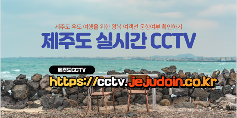 제주도 우도 섬 여행을 위한 우도 왕복여객선 운항 여부 확인하는 제주도CCTV 홈페이지 『우도배결항여부』